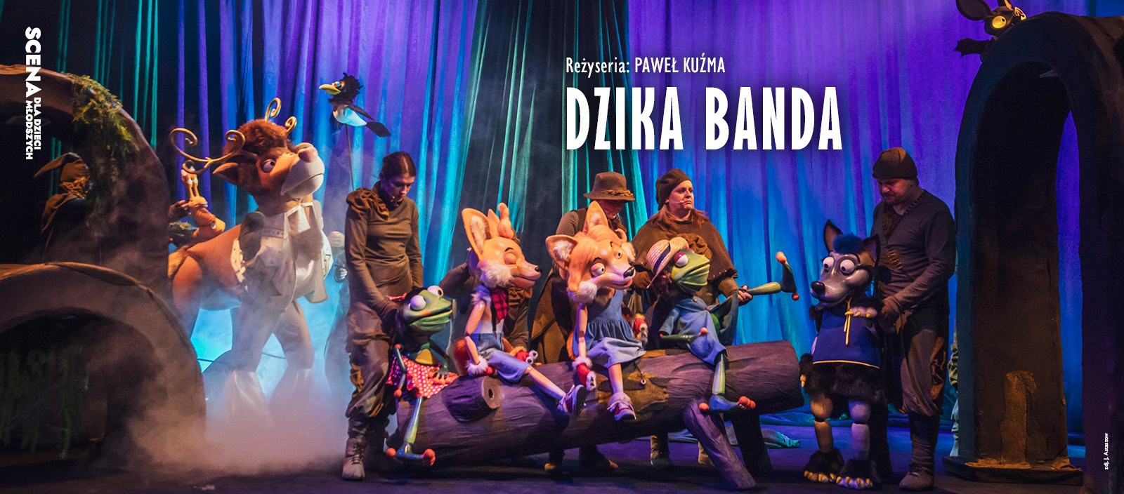 Dzika banda