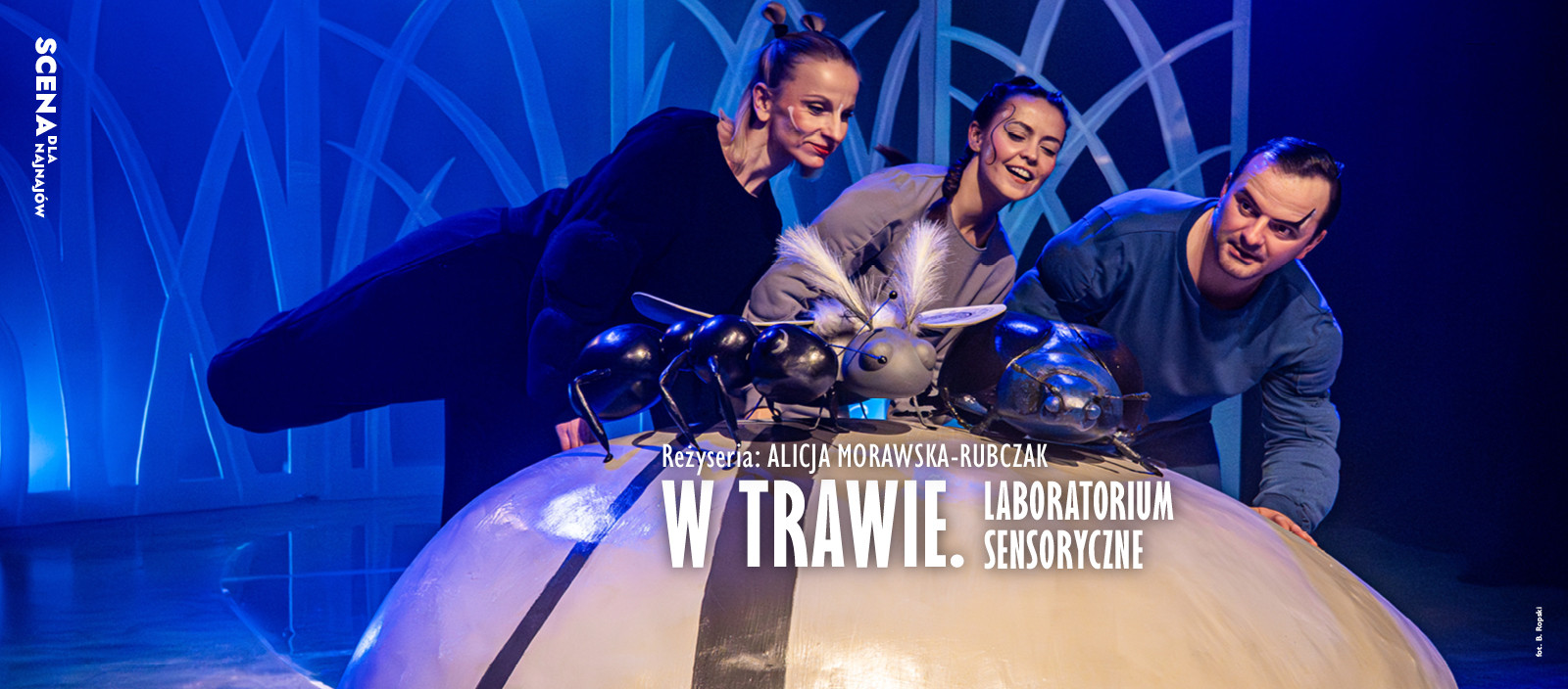 W trawie. Laboratorium sensoryczne