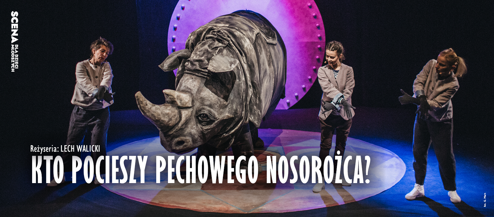 Kto pocieszy pechowego Nosorożca?