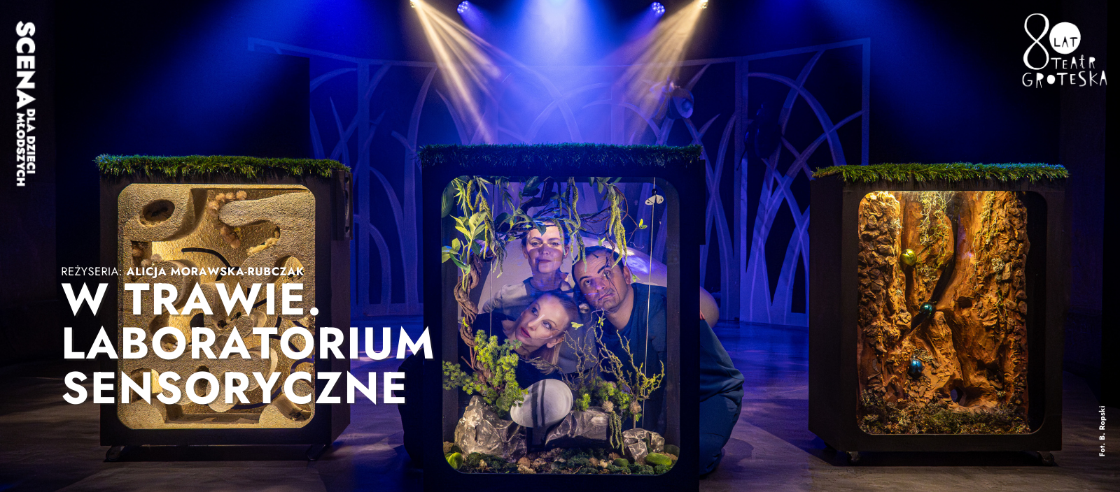 W trawie. Laboratorium sensoryczne