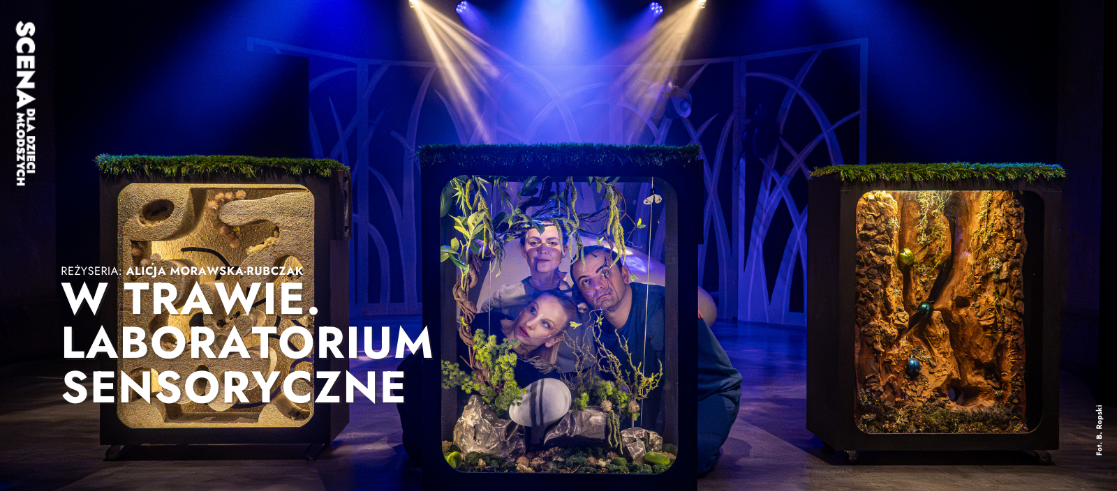 W trawie. Laboratorium sensoryczne