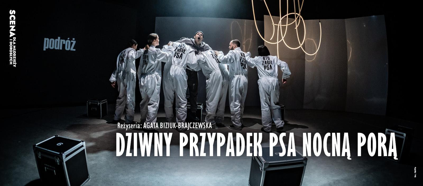 Dziwny przypadek psa